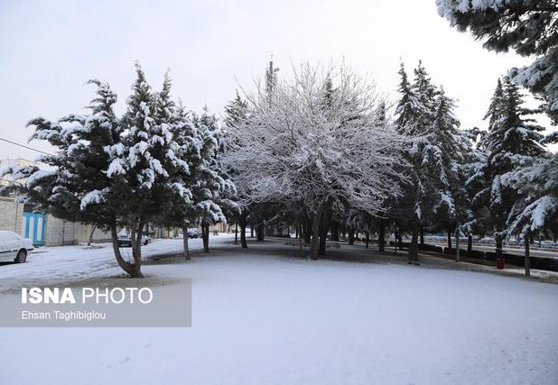 پیش‌بینی بارش برف در قزوین