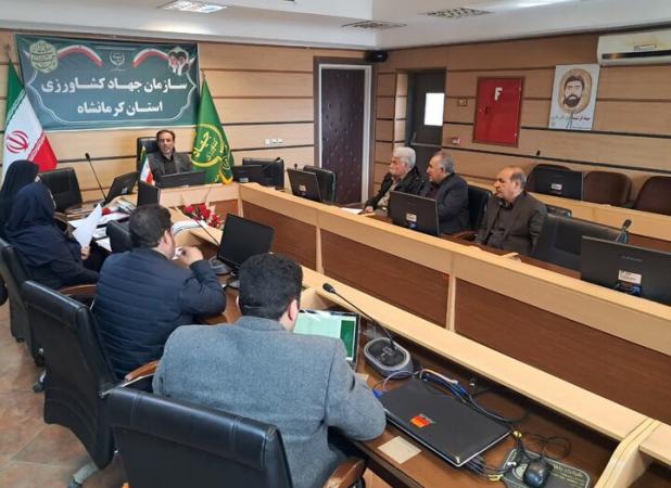 بررسی روند تأمین و توزیع نهاده‌های دامی و طیور در کرمانشاه