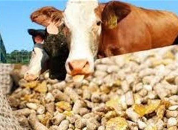نهاده‌های دام و فرآورده‌های پروتئینی براساس استانداردهای جدید کنترل می‌شوند