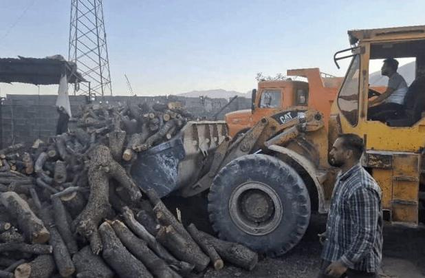 ۲۵ تُن هیزم و ۱۱ تن زغال از قاچاقچیان چوب در کازرون کشف شد