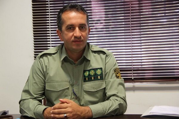 سلامی: ۱۰ قطعه پرنده تاکسیدرمی شده و زنده در آستارا کشف شد