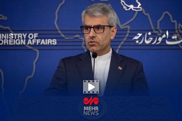 قانون تعلیق همکاری ایران با آژانس برای دولت لازم الاجرا است