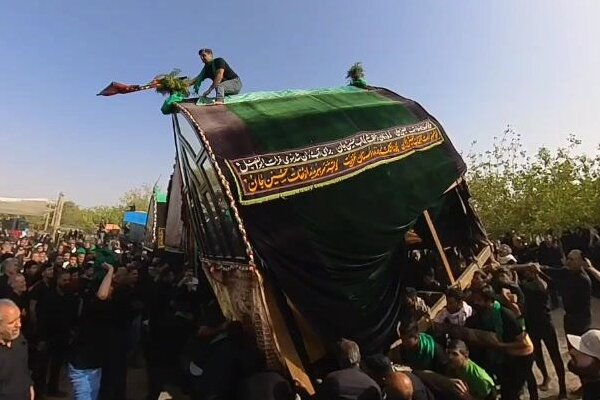سرخه در سوگ یاران حسین(ع)؛ آیین نخل‌گردانی عاشورایی با نوای سینه‌زنی