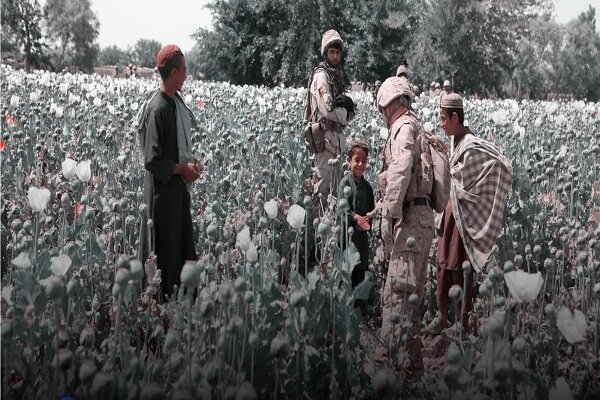 تهدید جدی تغییرالگوی کشت در افغانستان 
