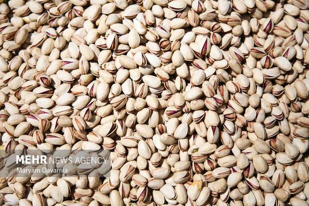 صادرات ۵ هزار تن پسته کرمان به اتحادیه اروپا