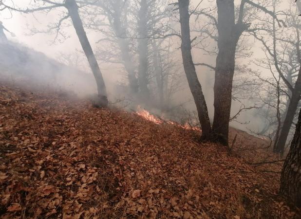 چرا به عنوان نماینده، فریاد جنگلبانان و محیط بانان برای تنقیح قوانین را نشنیدید؟/ برای تجهیزات اطفای آتش جنگل، چه قدمی برداشتید!