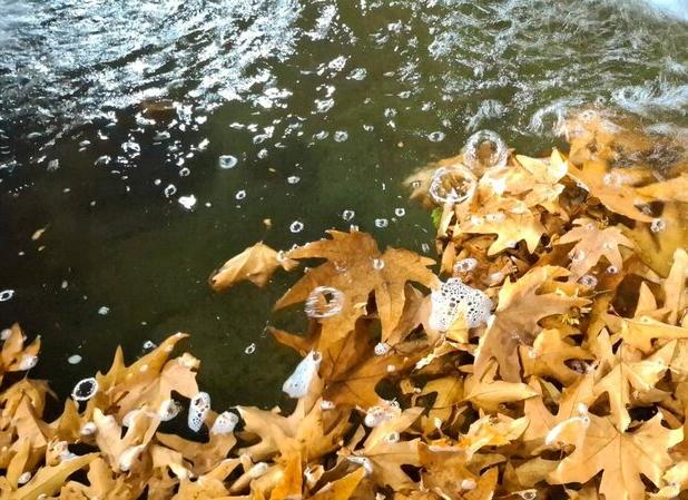 طبیعت پاییزی منطقه گردشگری سرچشمه شهرستان محلات