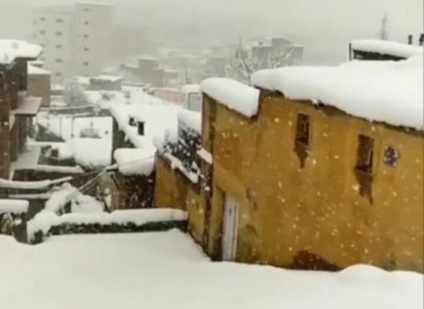 بارش برف در بانه