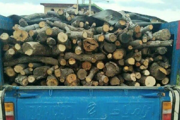 برداشت غیرمجاز چوب و گیاهان دارویی در رودان ممنوع شد