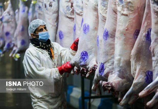 مدیرکل دامپزشکی استان بوشهر: مسئول قیمت نیستیم، مسئول سلامتیم