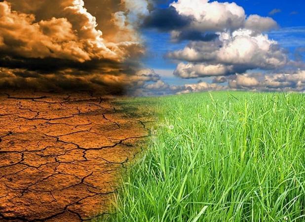 تغییرات اقلیمی تهدیدی برای امنیت غذایی و کشاورزان خرد