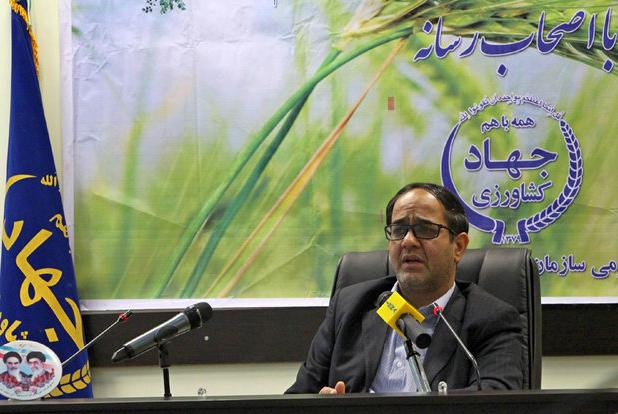 تعاون روستایی ۶۳۰ هزار تن گندم کشور را خریداری کرد