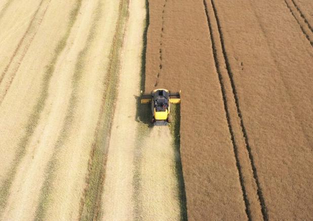 تبدیل مزارع جهان به ابزاری قدرتمند برای مقابله با تغییرات اقلیمی