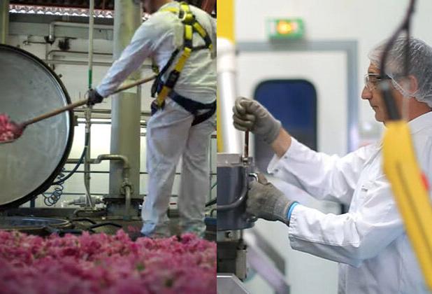 سازنده های پرفروش عطر و اسانس در سال 2025