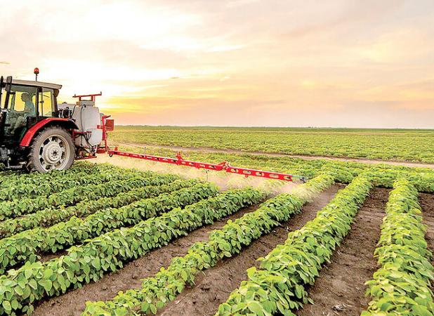 شیخعلیشاهی:پرداخت ۱۸۸ میلیارد تومان تسهیلات مکانیزاسیون کشاورزی در یزد