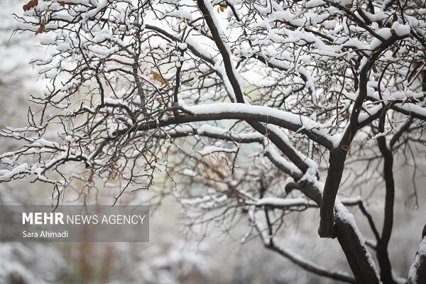 تهران درآستانه موج سرما؛ بارش برف و باران از امروز، افت دما از سه شنبه
