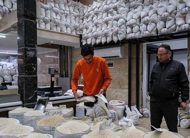 ارز ترجیحی برنج خارجی حذف شد