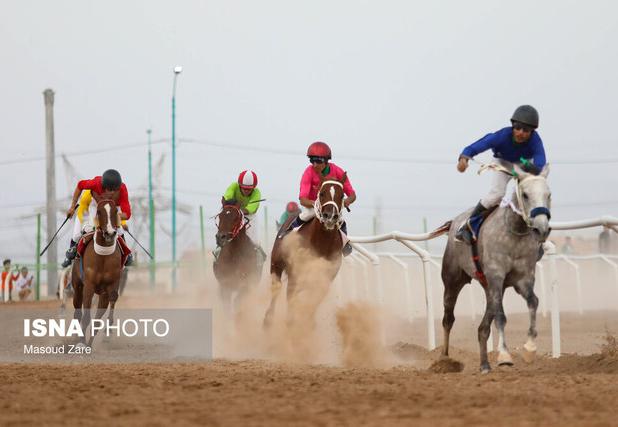 برترین‌های مسابقات روز دوم هفته پنجم کورس پاییزه اسبدوانی گنبدکاووس معرفی شدند