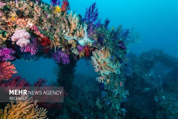 اپلیکیشن «سفر اقیانوسی» نشان بالاترین سطح فناوری را گرفت