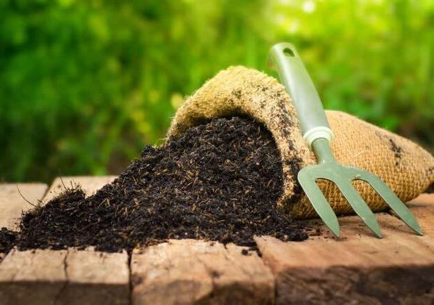 تأمین ۶۰۰ تن کود فسفاته برای بهره‌برداران استان یزد