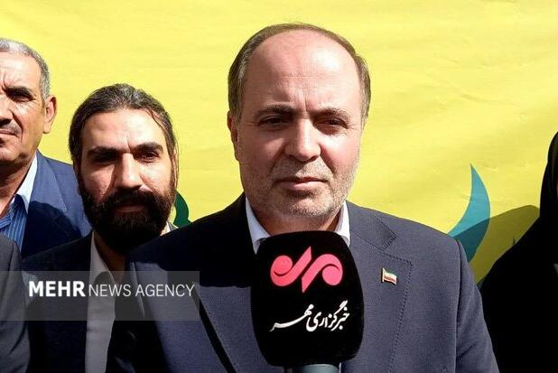 نوری قزلجه: قیمت گندم با رویکرد امنیت غذایی تعیین می‌شود
