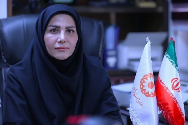 سامانه ارائه خدمات اشتغال در سازمان بهزیستی راه‌اندازی شد
