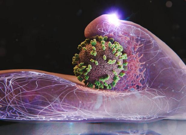 دو فوتی تأییدشده آنفلوآنزا در آذربایجان شرقی/ وضعیت تحت کنترل است