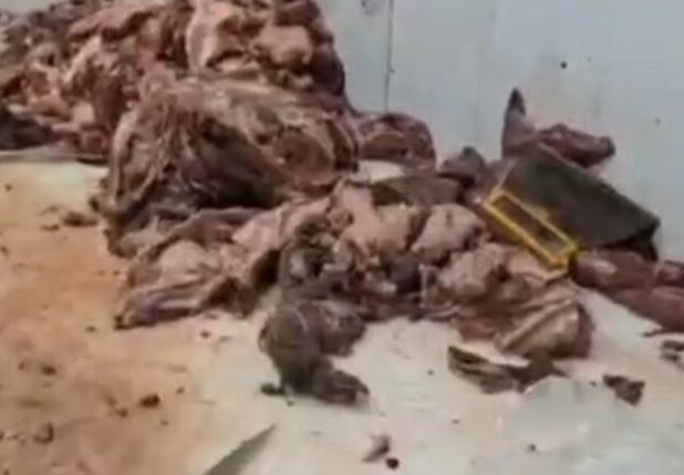 کشف ۶۰۰ کیلوگرم گوشت فاسد قبل از توزیع در بازار در رباط کریم