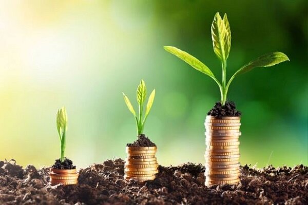 ارائه تسهیلات توانمندسازی بانوان درحوزه محیط زیست