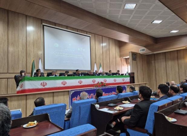 ولیدخت: بیکاری ریشه اصلی خودکشی در قوچان است