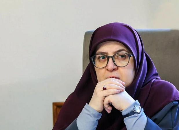 مهاجرانی: ایرانیان دوستدار دانش، مسیر میرزاخانی را ادامه می‌دهند