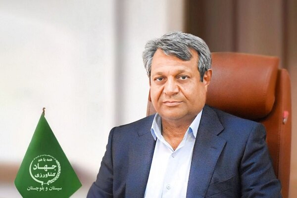 بهره برداری از ۳۱۷ پروژه کشاورزی در سیستان و بلوچستان در دهه فجر