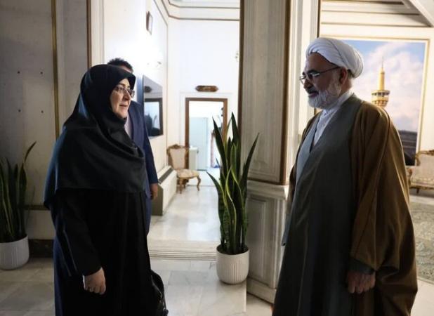 سخنگوی دولت وارد فرودگاه مشهد شد