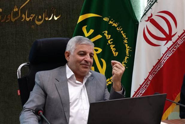 رئیس جهادکشاورزی استان: یزد قطب تولید بذر هیبرید در کشور است