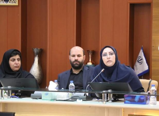 لزوم تقویت مشارکت‌های اجتماعی جوانان با راه‌اندازی شبکه‌های تخصصی