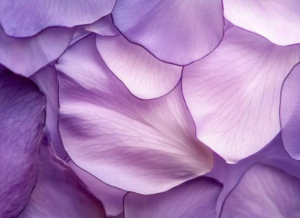 رنگ بنفش از نظر روانشناسی به چه معناست؟