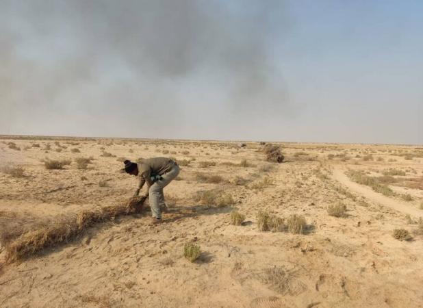 مرادزاده: یکی از دشت‌های مهم زنده‌گیری «هوبره» پاکسازی شد