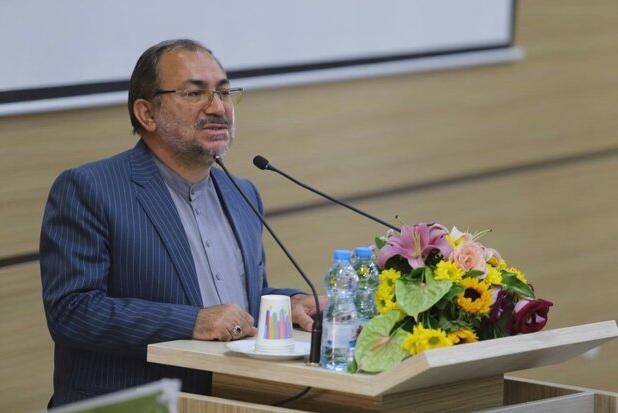 باید برای افزایش ماما در کشور سرمایه گذاری شود