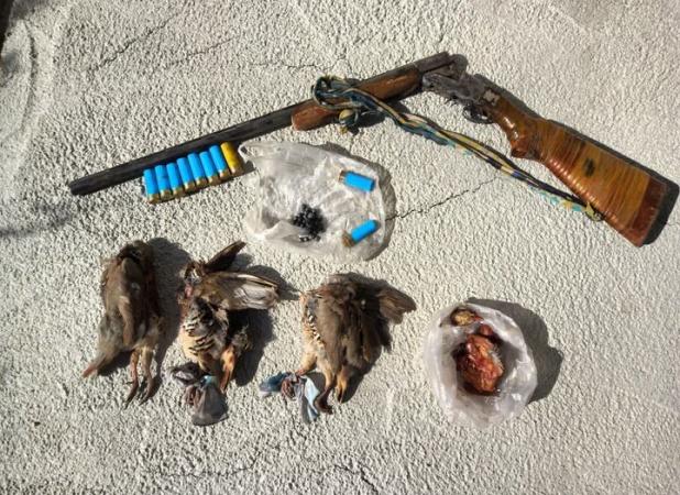 سفیدی: ۳۴۰ متخلف حوزه محیط زیست در اردبیل به مراجع قضایی معرفی شدند