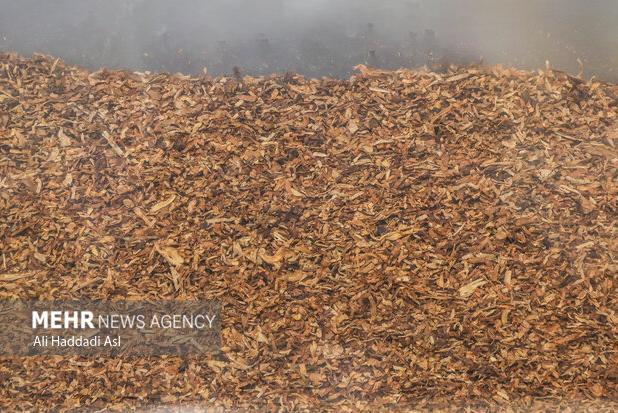 ۲۷ درصد بازار سیگار و ۹۳ درصد بازار تنباکو در اختیار قاچاقچیان است