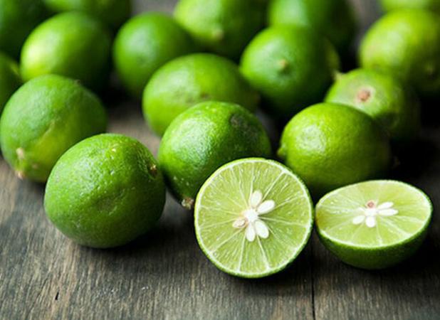 ورود سازمان مرکزی تعاون روستایی به خرید توافقی لیمو از باغداران