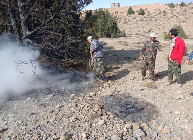 بی‌احتیاطی گردشگران بلای جان درختان اورس شد؛مهار آتش در چهارباغ شاهرود