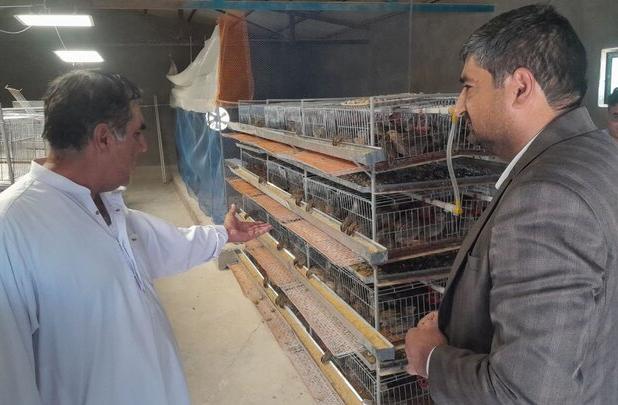 حمایت از کارآفرینان در راستای تحقق شعار سال در اولویت قرار دارد