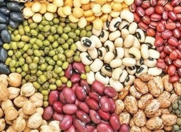 قیمت مصوب حبوبات وارداتی اعلام شد
