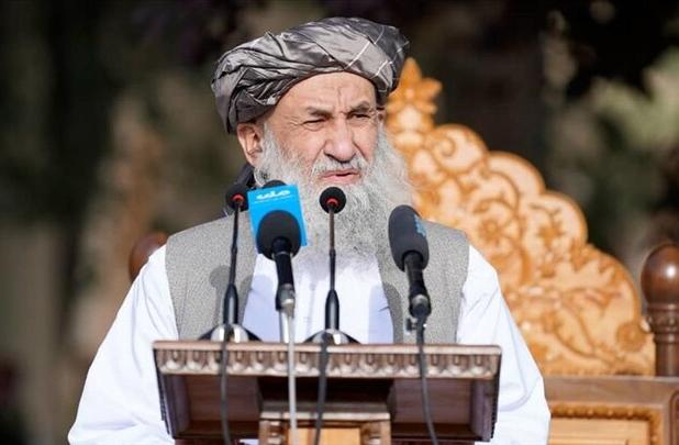 آخند: افغان‌های نگران از موضع جدید آمریکا به کشورشان بازگردند