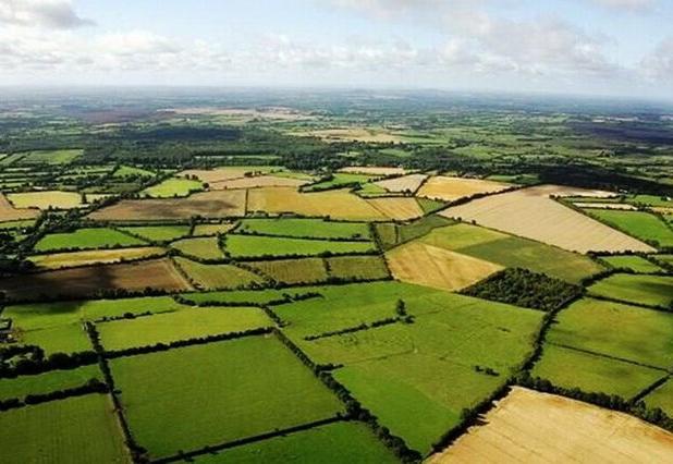 رفع تصرف از ۲۰ هزار مترمربع اراضی ملی در آستانه اشرفیه