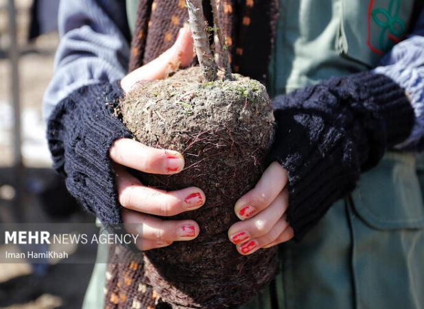 پویش کاشت نهال در دهلران
