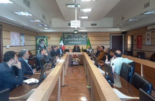 نشست هماهنگی برای ساماندهی بازار مرغ در کرمانشاه برگزار شد