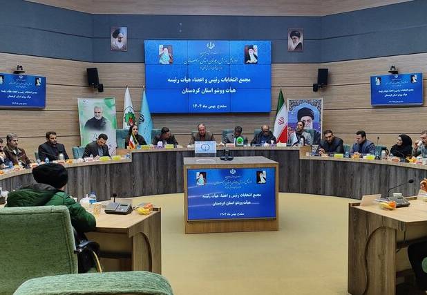 استفاده از ظرفیت‌ها، تقویت همدلی و بهره‌گیری از توان فنی شرط پیشرفت ووشوی کردستان