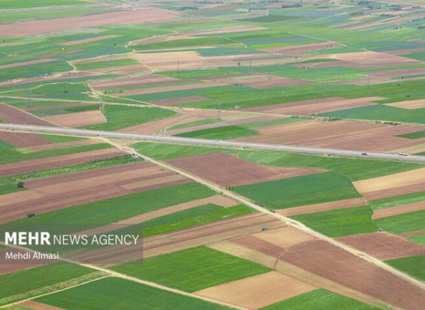شناسایی بیش از ۱۲۰۰ مورد تغییر کاربری غیرمجاز در اراضی کشاورزی قزوین